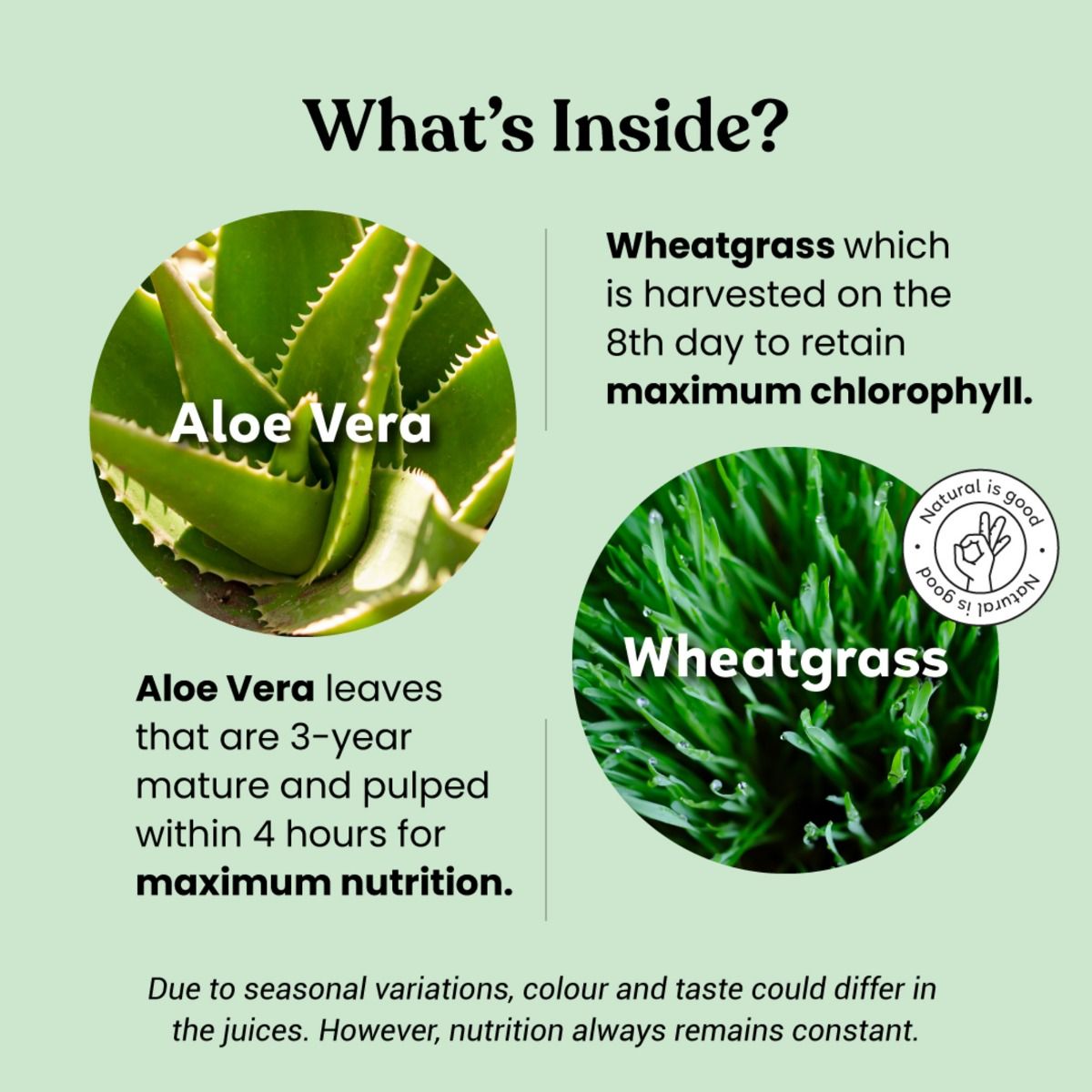 Kapiva Aloe Vera Wheatgrass Juice, 1 L Price, Uses, Side Effects