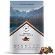 Wellbeing Nutrition Plant Protein Dark Chocolate Hazelnut Flavour Powder, 500 gm