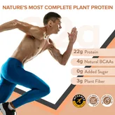 Wellbeing Nutrition Plant Protein Dark Chocolate Hazelnut Flavour Powder, 500 gm, Pack of 1