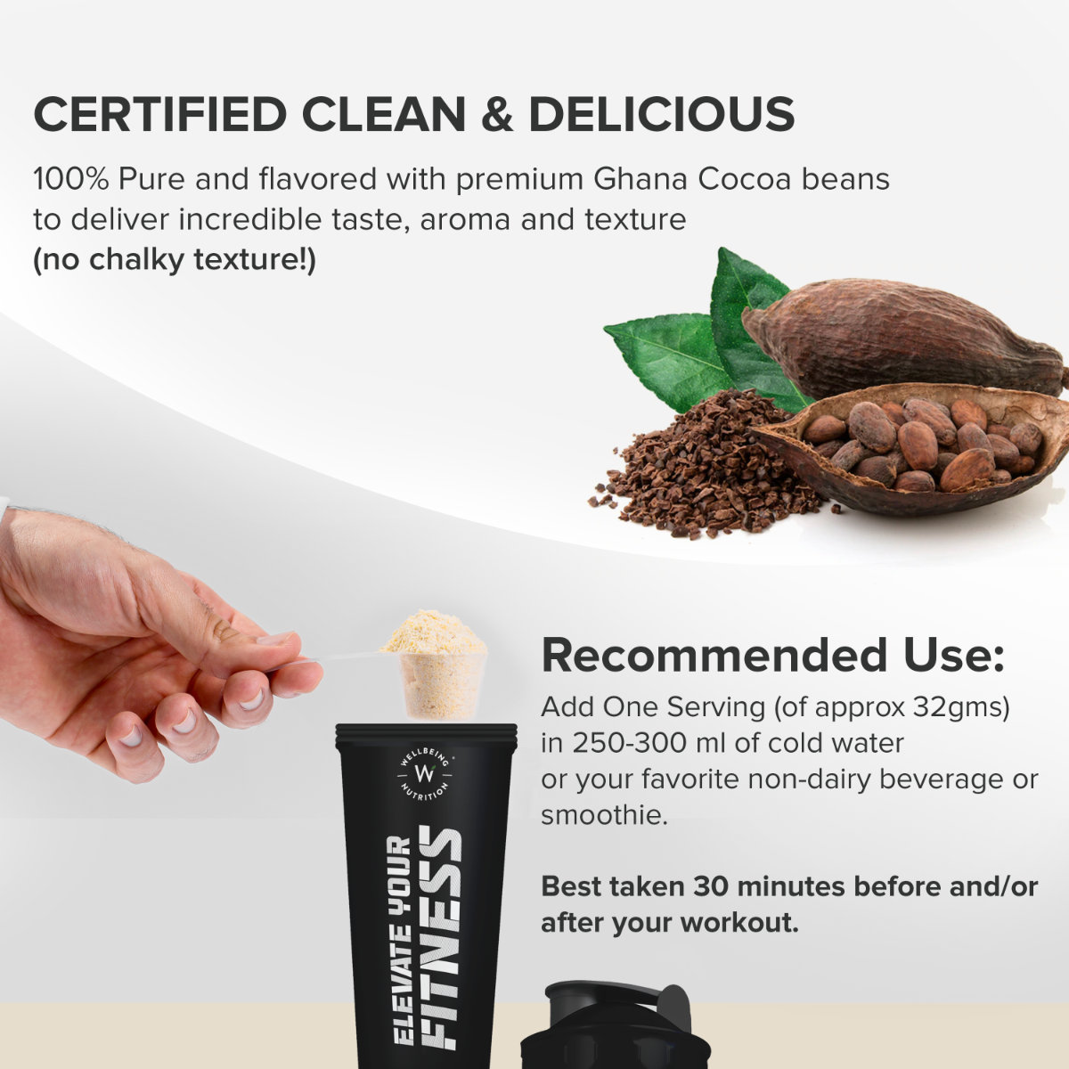 Wellbeing Nutrition Plant Protein Dark Chocolate Hazelnut Flavour Powder, 500 gm, Pack of 1 Wellbeing Nutrition Plant Protein Dark Chocolate Hazelnut Flavour Powder, 500 gm, Pack of 1