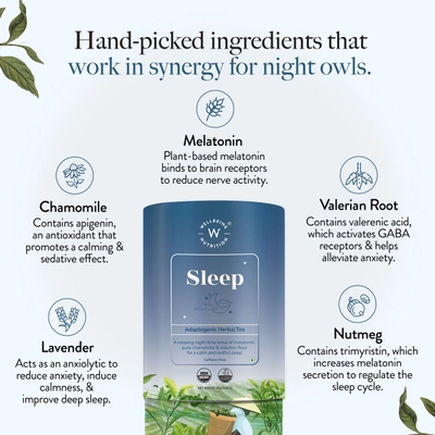 Wellbeing Nutrition Sleep Tea Bags, 20 Count, Pack of 1