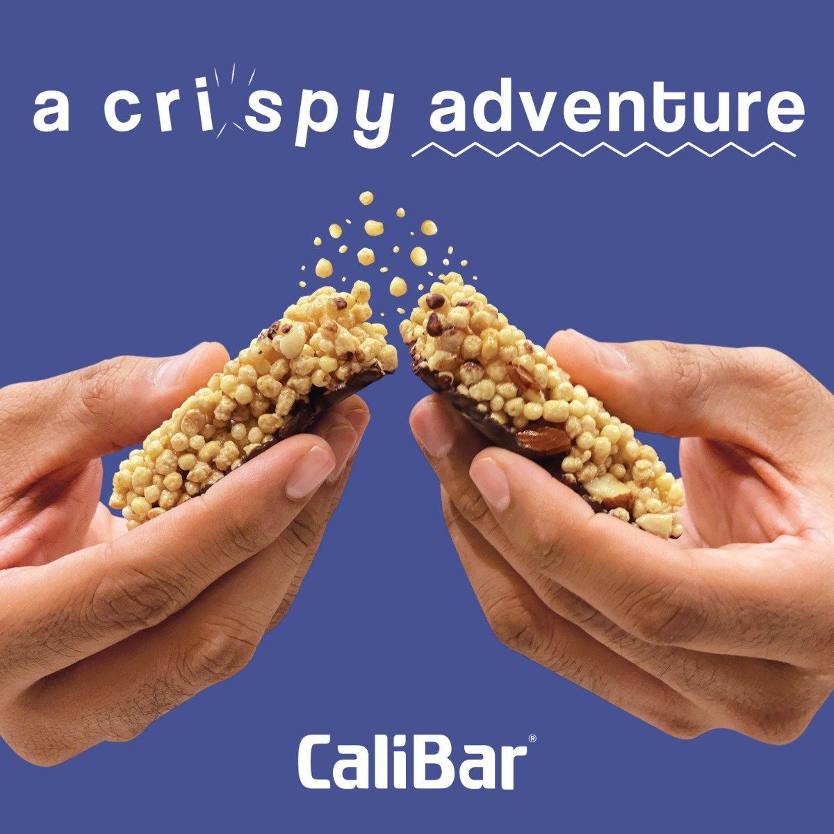 CaliBar 20g Protein 5-BAR Variety Pack | No Added Sugar, 5x65 gm, Pack of 1 CaliBar 20g Protein 5-BAR Variety Pack | No Added Sugar, 5x65 gm, Pack of 1