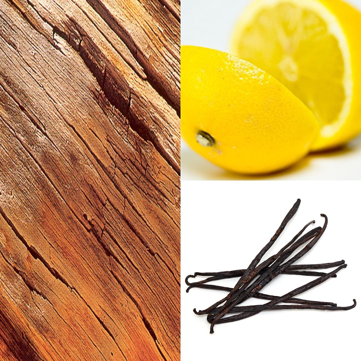 Adidas Champion League Shower Gel 250 ml | Hair & Body Shower Gel | For Men, Pack of 1 Adidas Champion League Shower Gel 250 ml | Hair & Body Shower Gel | For Men, Pack of 1