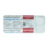 Amlong-Trio 40/5/12.5 Tablet 10's, Pack of 10 TABLETS