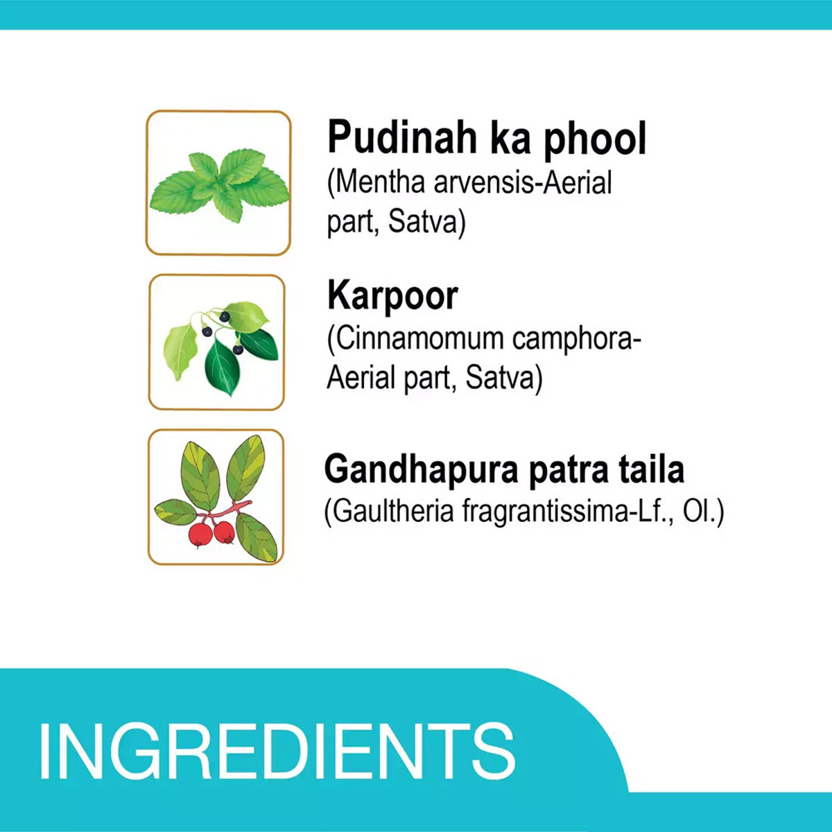 Amrutanjan Relief Cough & Cold Nasal Inhaler, 1 Count, Pack of 1 Amrutanjan Relief Cough & Cold Nasal Inhaler, 1 Count, Pack of 1