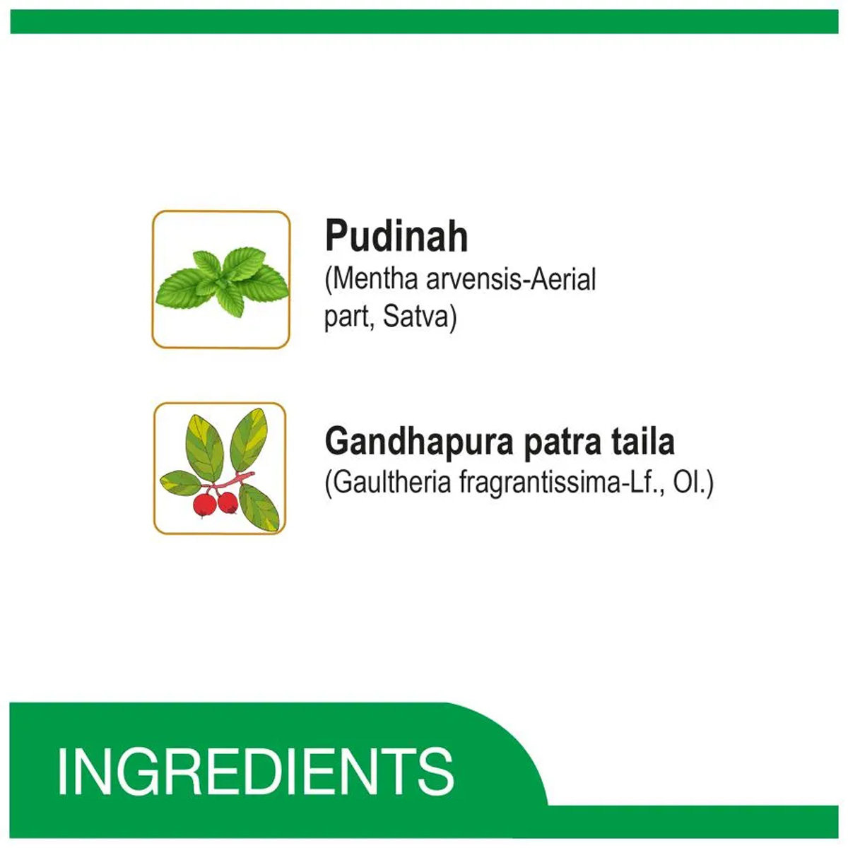 Amrutanjan Strong Double Power Pain Balm, 8 ml, Pack of 1 Amrutanjan Strong Double Power Pain Balm, 8 ml, Pack of 1