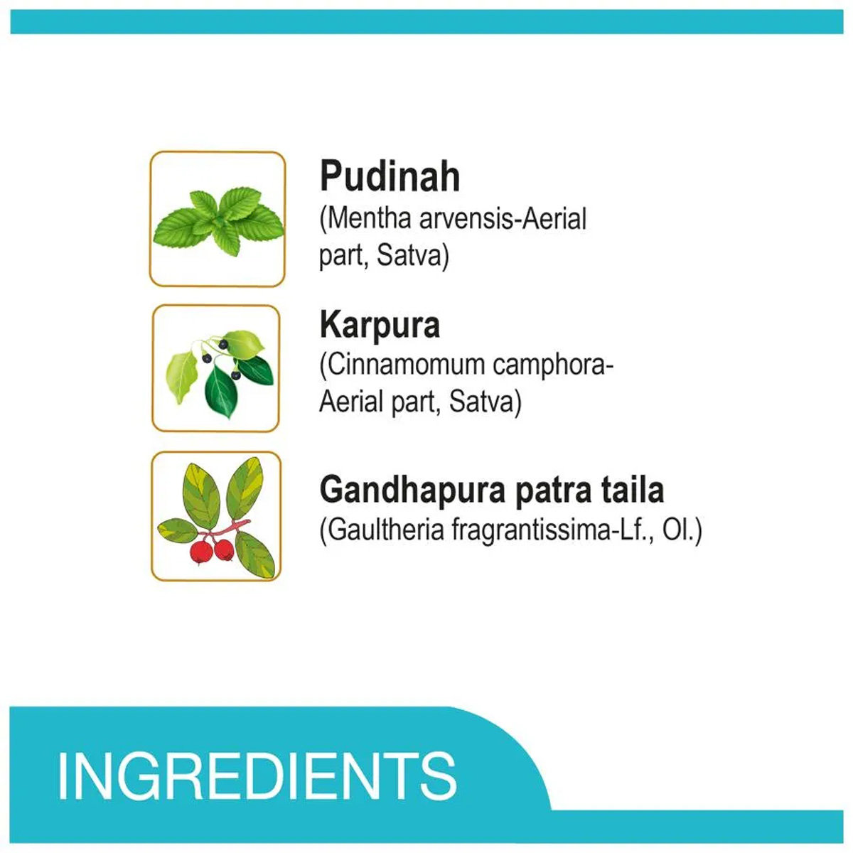 Amrutanjan Joint Muscle Pain Relief Spray, 30 gm, Pack of 1 Amrutanjan Joint Muscle Pain Relief Spray, 30 gm, Pack of 1