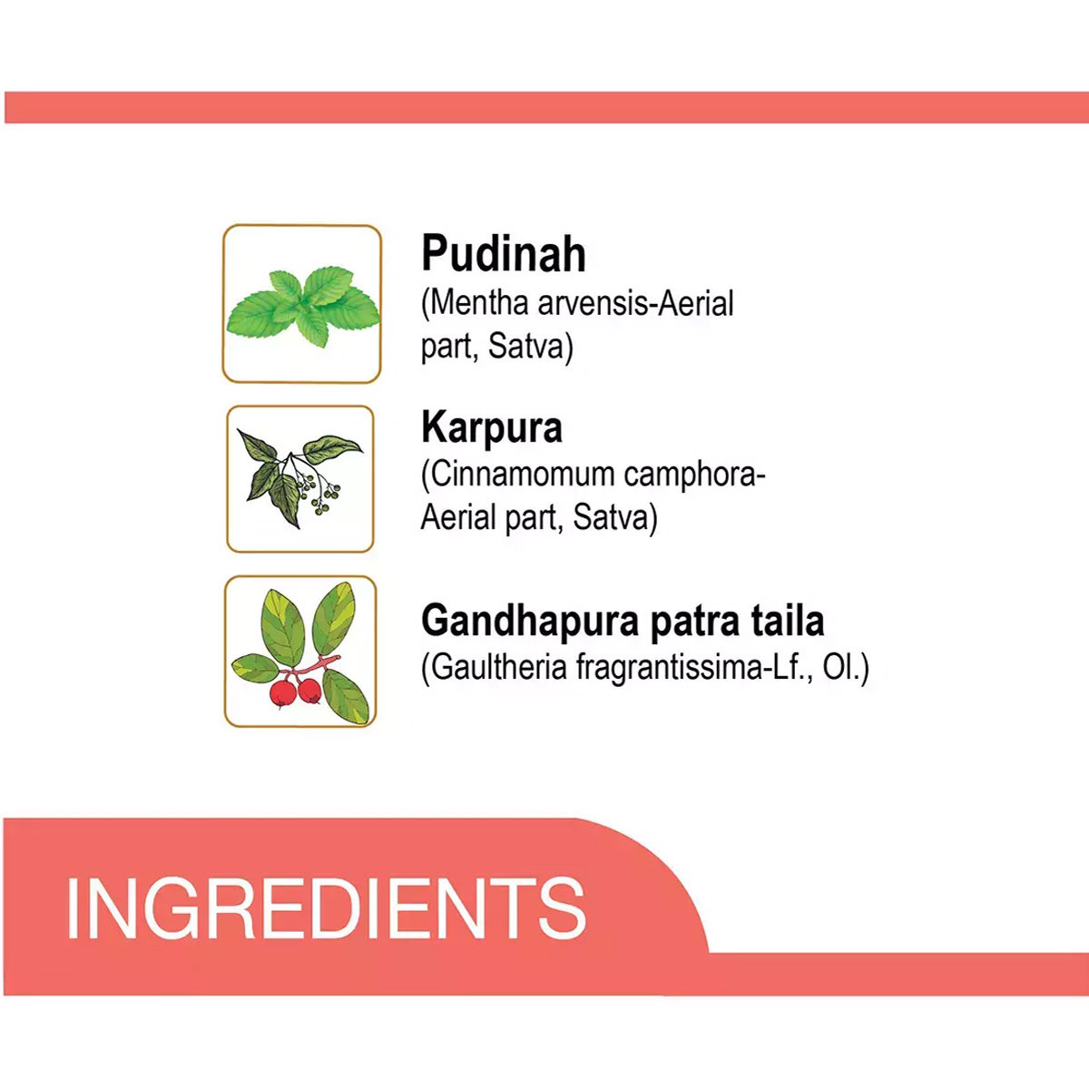 Amrutanjan Headache Faster Relaxation Roll-On, 5 ml, Pack of 1 Amrutanjan Headache Faster Relaxation Roll-On, 5 ml, Pack of 1