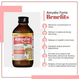 Aimil Amydio Forte Syrup, 100 ml, Pack of 1
