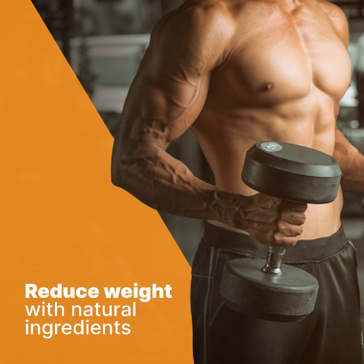 Apollo Life Fat Burner, 60 Capsules, Pack of 1 Apollo Life Fat Burner, 60 Capsules, Pack of 1