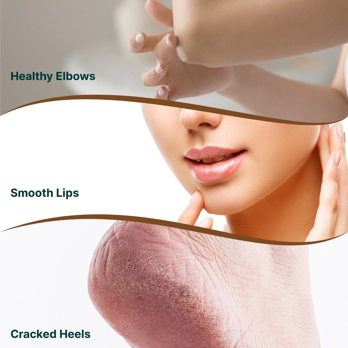 Apollo Life Petroleum Jelly, 40 gm, Pack of 1 Apollo Life Petroleum Jelly, 40 gm, Pack of 1