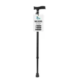 Apollo Pharmacy Walking Stick L-Shape, 1 Count, Pack of 1