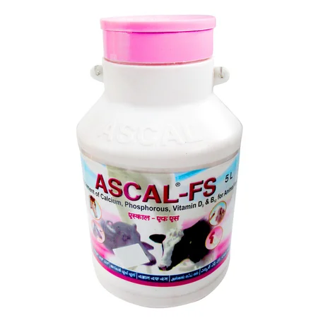 Ascal FS Liquid 5 Litre