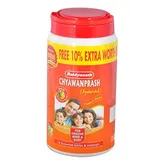 Baidyanath Chyawanprash Special, 2 kg, Pack of 1