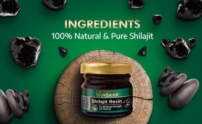 Baidyanath Vansaar Shilajit Resin, 15 gm, Pack of 1