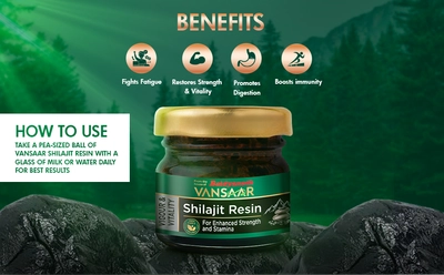 Baidyanath Vansaar Shilajit Resin, 15 gm, Pack of 1