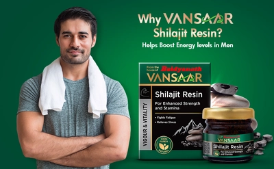 Baidyanath Vansaar Shilajit Resin, 15 gm, Pack of 1