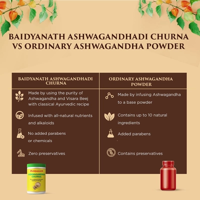 Baidyanath Ashwagandha Churna, 100 gm, Pack of 1