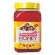 Baidyanath (Nagpur) Honey, 1 kg