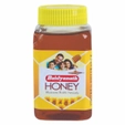 Baidyanath (Nagpur) Honey, 500 gm
