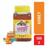 Baidyanath (Nagpur) Honey, 500 gm, Pack of 1