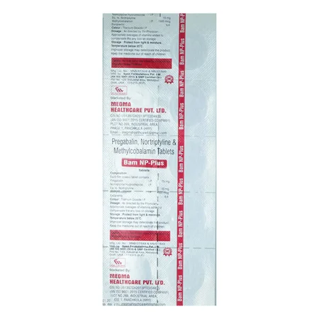 Bam NP-Plus Tablet 10's