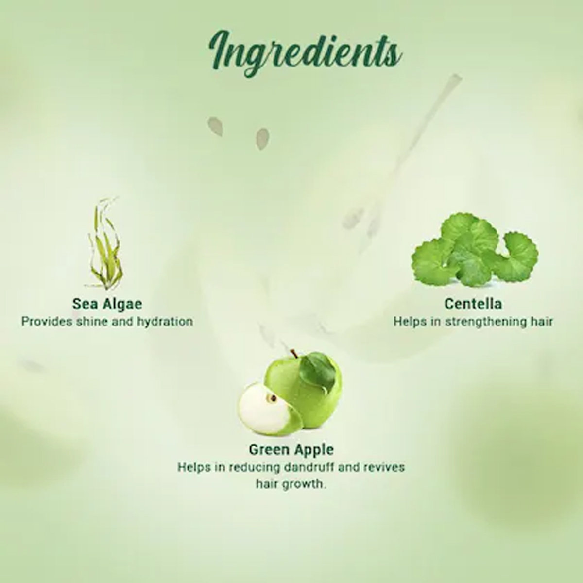 Biotique Green Apple Shampoo, 75 ml, Pack of 1 Biotique Green Apple Shampoo, 75 ml, Pack of 1