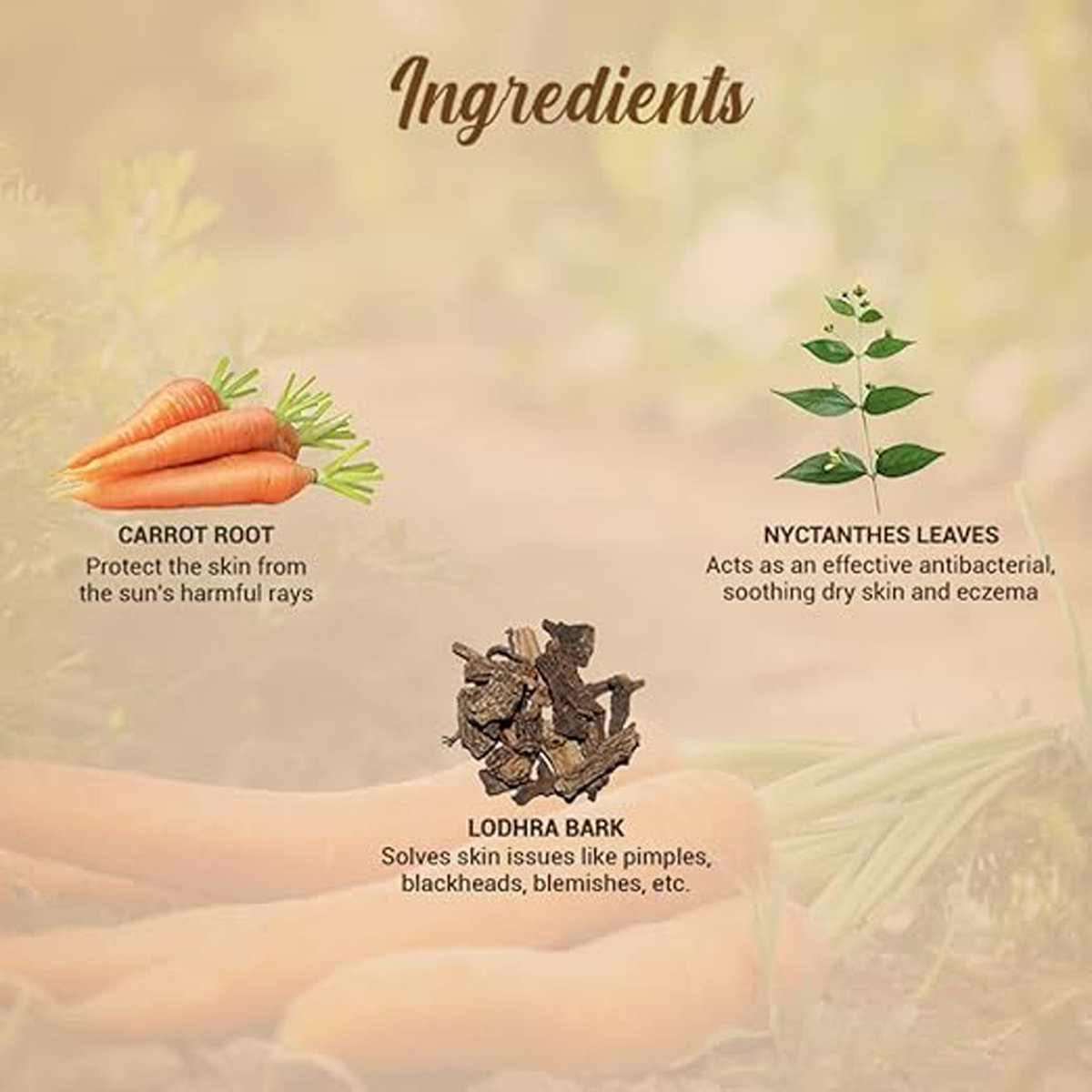 Biotique Carrot Face & Body Sun Lotion, 120 ml, Pack of 1 Biotique Carrot Face & Body Sun Lotion, 120 ml, Pack of 1