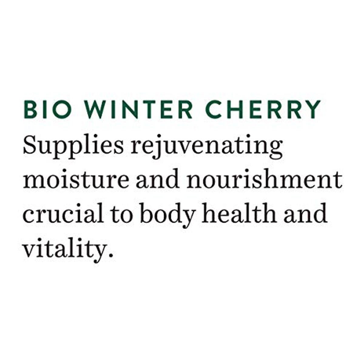 Biotique Winter Cherry Rejuvenating Body Lotion 190 ml | Winter Cherry | Helps In Rejuvenating, Nourishing & Moisturising Skin | 100% Botanical Extract | For All Skin Type, Pack of 1 Biotique Winter Cherry Rejuvenating Body Lotion 190 ml | Winter Cherry | Helps In Rejuvenating, Nourishing & Moisturising Skin | 100% Botanical Extract | For All Skin Type, Pack of 1