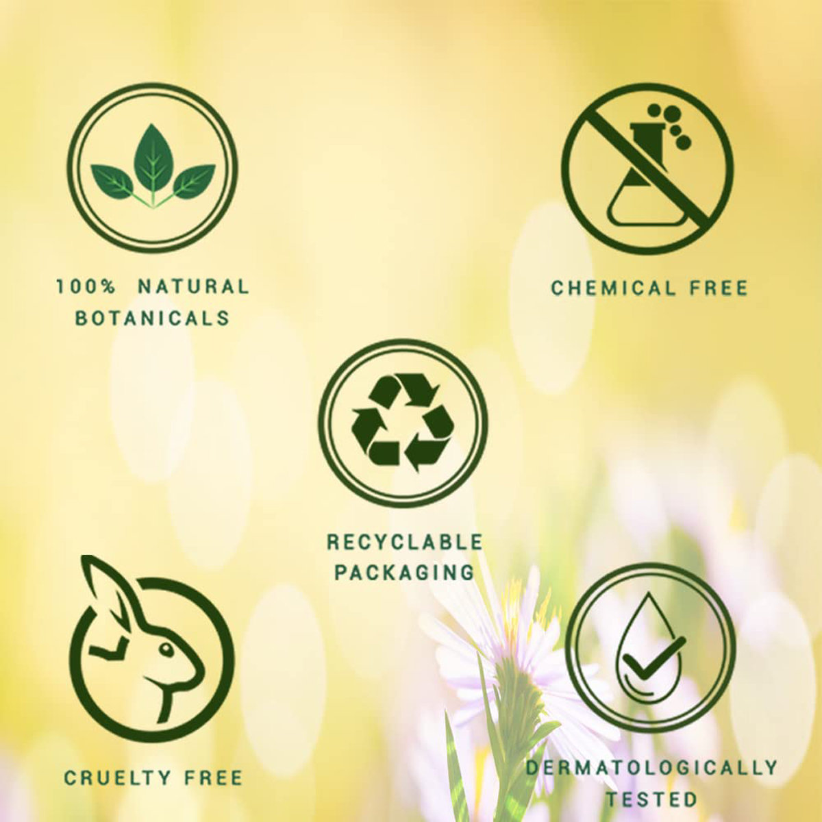 Biotique Morning Nectar Lotion for Girl, 190 ml, Pack of 1 Biotique Morning Nectar Lotion for Girl, 190 ml, Pack of 1