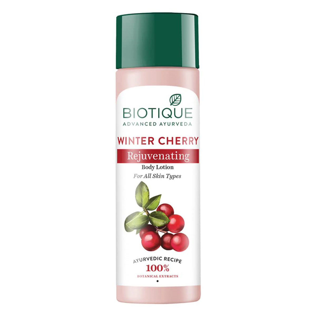 Biotique Winter Cherry Rejuvenating Body Lotion 120 ml | Winter Cherry | Helps In Rejuvenating, Nourishing & Moisturising Skin | 100% Botanical Extract | For All Skin Type, Pack of 1 Biotique Winter Cherry Rejuvenating Body Lotion 120 ml | Winter Cherry | Helps In Rejuvenating, Nourishing & Moisturising Skin | 100% Botanical Extract | For All Skin Type, Pack of 1
