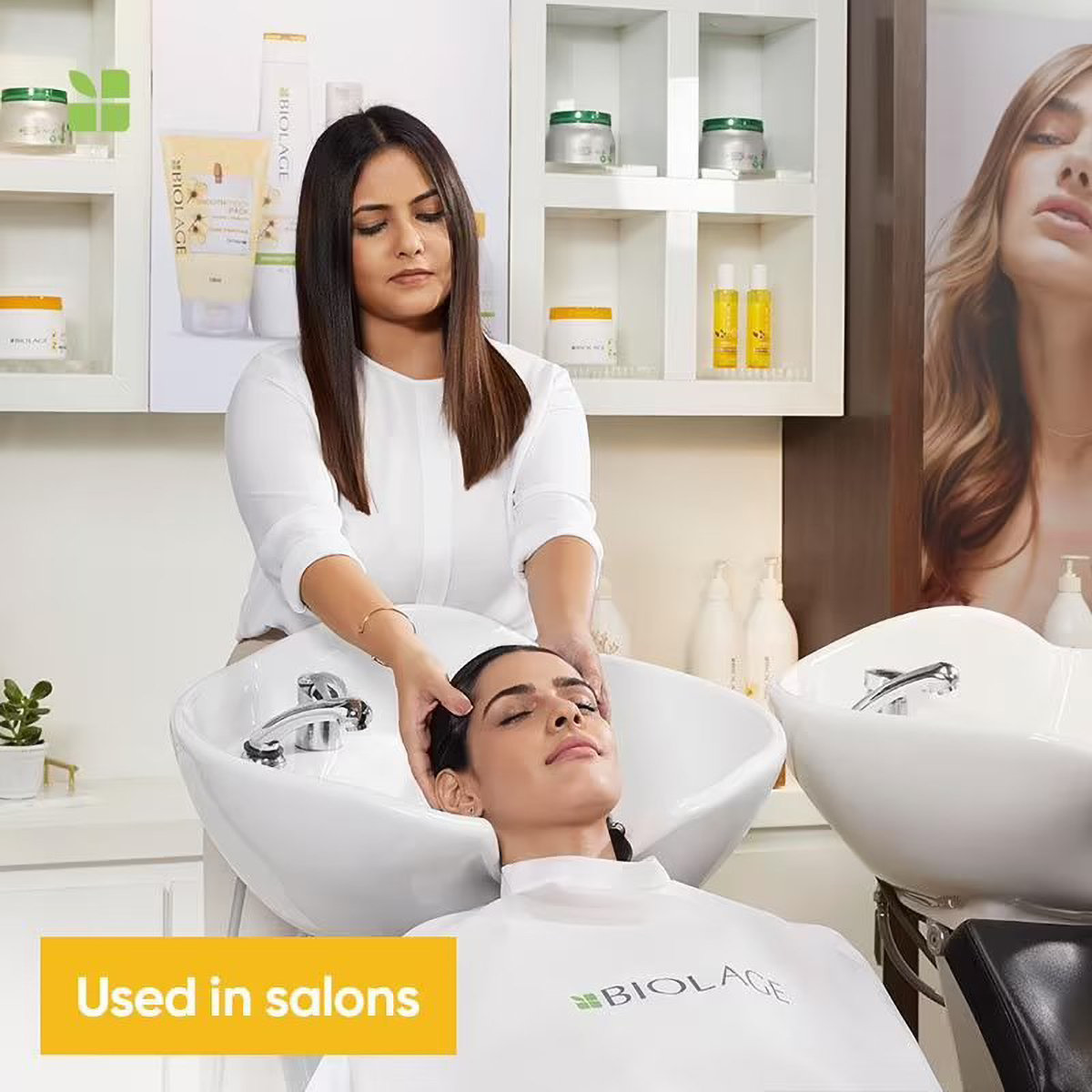 Biolage Smoothproof Camellia Shampoo, 200 ml, Pack of 1 Biolage Smoothproof Camellia Shampoo, 200 ml, Pack of 1