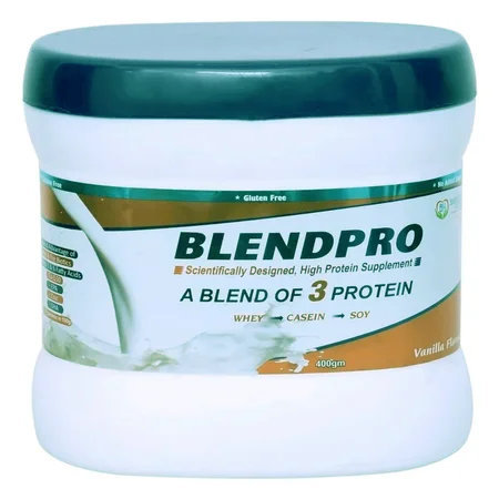 Blendpro Vanilla Powder 400 gm