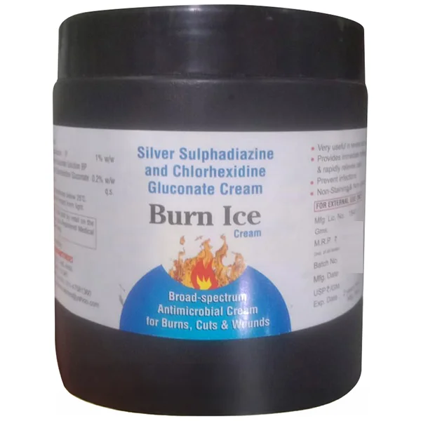 Burn Ice Cream 500 gm