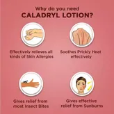 Caladryl Skin Allergy Expert Lotion, 60 ml, Pack of 1