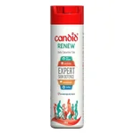 Candid Renew Daily Calamine Talcum Powder 100 gm 