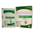 Carejoint-Go Orange Sachet 12.5 gm