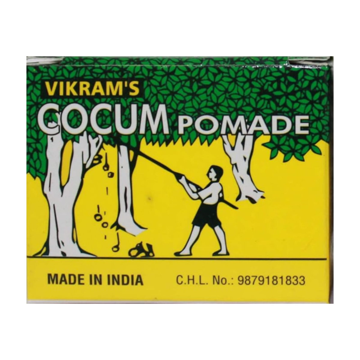 Vikram Cocum Pomade Cream 40 gm | Beautify Skin | Prevent Skin Chapping, Pack of 1 Vikram Cocum Pomade Cream 40 gm | Beautify Skin | Prevent Skin Chapping, Pack of 1