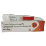 Colchidol Gel 30 gm
