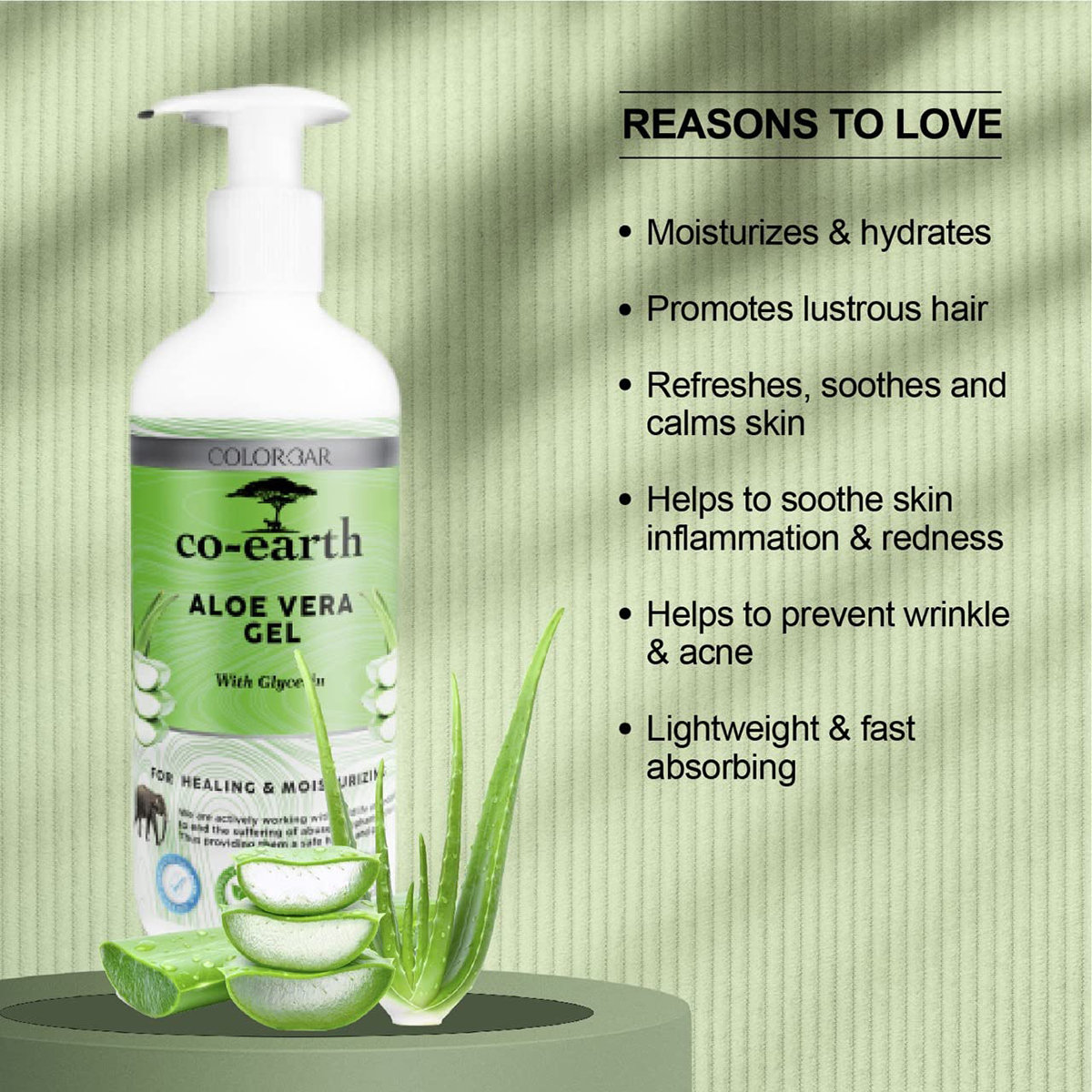 Colorbar Co-Earth Aloe Vera Gel 300 ml | 100% Natural Aloe Vera With Glycerin | Intense Moisturisation & Healing | Soothes & Relieves Dryness | Lightweight & Fast Absorbing | Multipurposes Gel For Skin & Hair, Pack of 1 Colorbar Co-Earth Aloe Vera Gel 300 ml | 100% Natural Aloe Vera With Glycerin | Intense Moisturisation & Healing | Soothes & Relieves Dryness | Lightweight & Fast Absorbing | Multipurposes Gel For Skin & Hair, Pack of 1