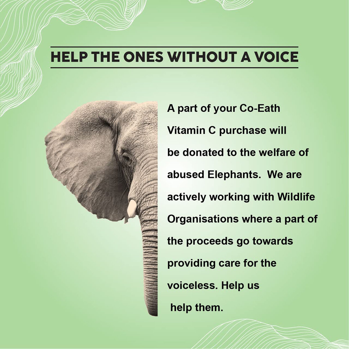 Colorbar Co-Earth Aloe Vera Body Lotion 300 ml | Vitamin E, Oat Lipids & Borage Oil | Deep Moisturisation | Soothes & Hydrates | Gives Smooth Skin | Lightweight & Fast Absorbing, Pack of 1 Colorbar Co-Earth Aloe Vera Body Lotion 300 ml | Vitamin E, Oat Lipids & Borage Oil | Deep Moisturisation | Soothes & Hydrates | Gives Smooth Skin | Lightweight & Fast Absorbing, Pack of 1