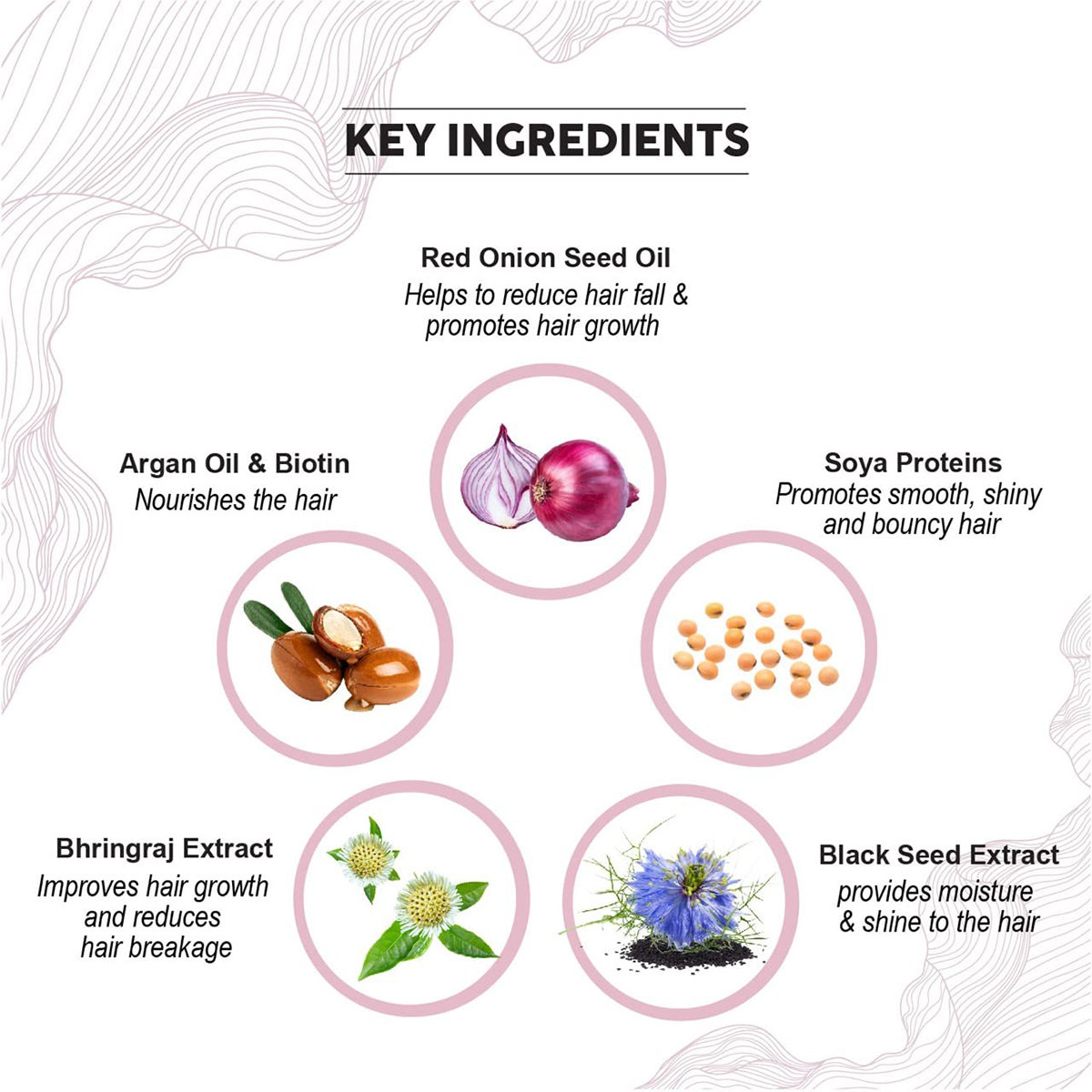 Colorbar Co-Earth Onion Shampoo, 300 ml, Pack of 1 Colorbar Co-Earth Onion Shampoo, 300 ml, Pack of 1