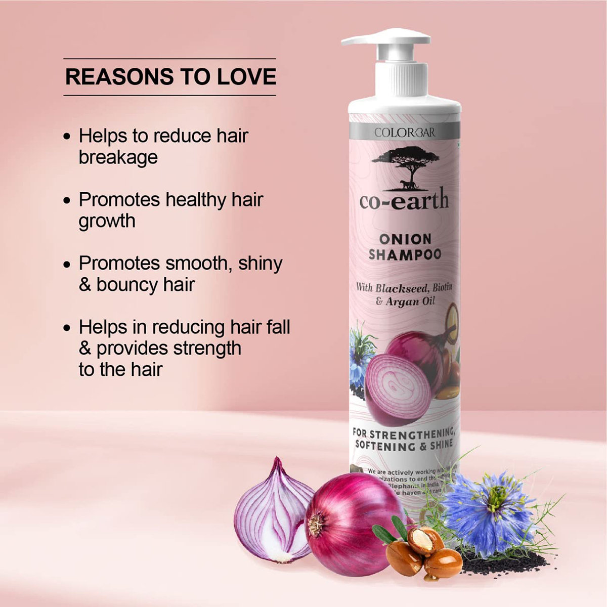 Colorbar Co-Earth Onion Shampoo, 300 ml, Pack of 1 Colorbar Co-Earth Onion Shampoo, 300 ml, Pack of 1