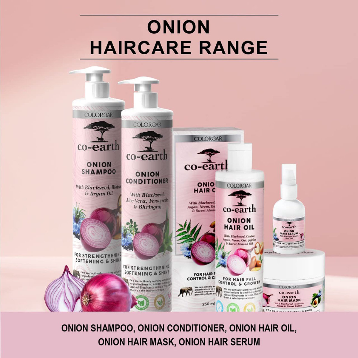 Colorbar Co-Earth Onion Shampoo, 300 ml, Pack of 1 Colorbar Co-Earth Onion Shampoo, 300 ml, Pack of 1