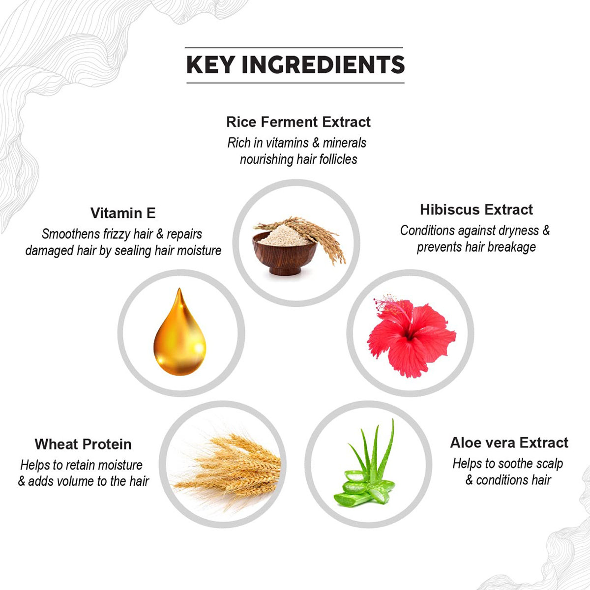 Colorbar Co-Earth Rice Water Shampoo, 300 ml, Pack of 1 Colorbar Co-Earth Rice Water Shampoo, 300 ml, Pack of 1