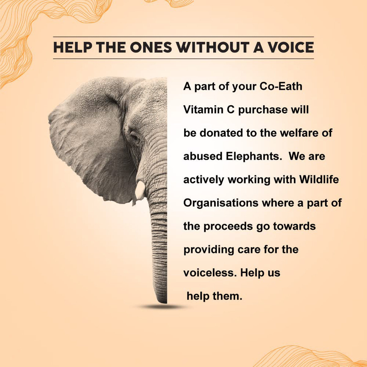 Colorbar Co-Earth Vitamin C Face Serum 30 ml | Hyaluronic Acid, Mulberry, Vitamin E, Licorice, Marigold, Vitamin A & WheatGerm | Healps In Skin Lightening | For Even Toned Skin | Lightweight Formula | Fast Absorbing, Pack of 1 Colorbar Co-Earth Vitamin C Face Serum 30 ml | Hyaluronic Acid, Mulberry, Vitamin E, Licorice, Marigold, Vitamin A & WheatGerm | Healps In Skin Lightening | For Even Toned Skin | Lightweight Formula | Fast Absorbing, Pack of 1