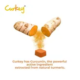 Curkey Curcumin Pastilles, 10 Tablets, Pack of 10