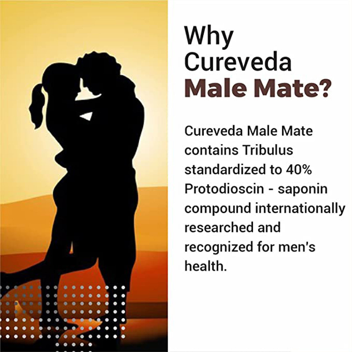 Cureveda Male Mate, 60 Tablets, Pack of 1 Cureveda Male Mate, 60 Tablets, Pack of 1