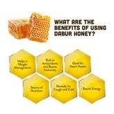 Dabur Honey, 1 Kg, Pack of 1