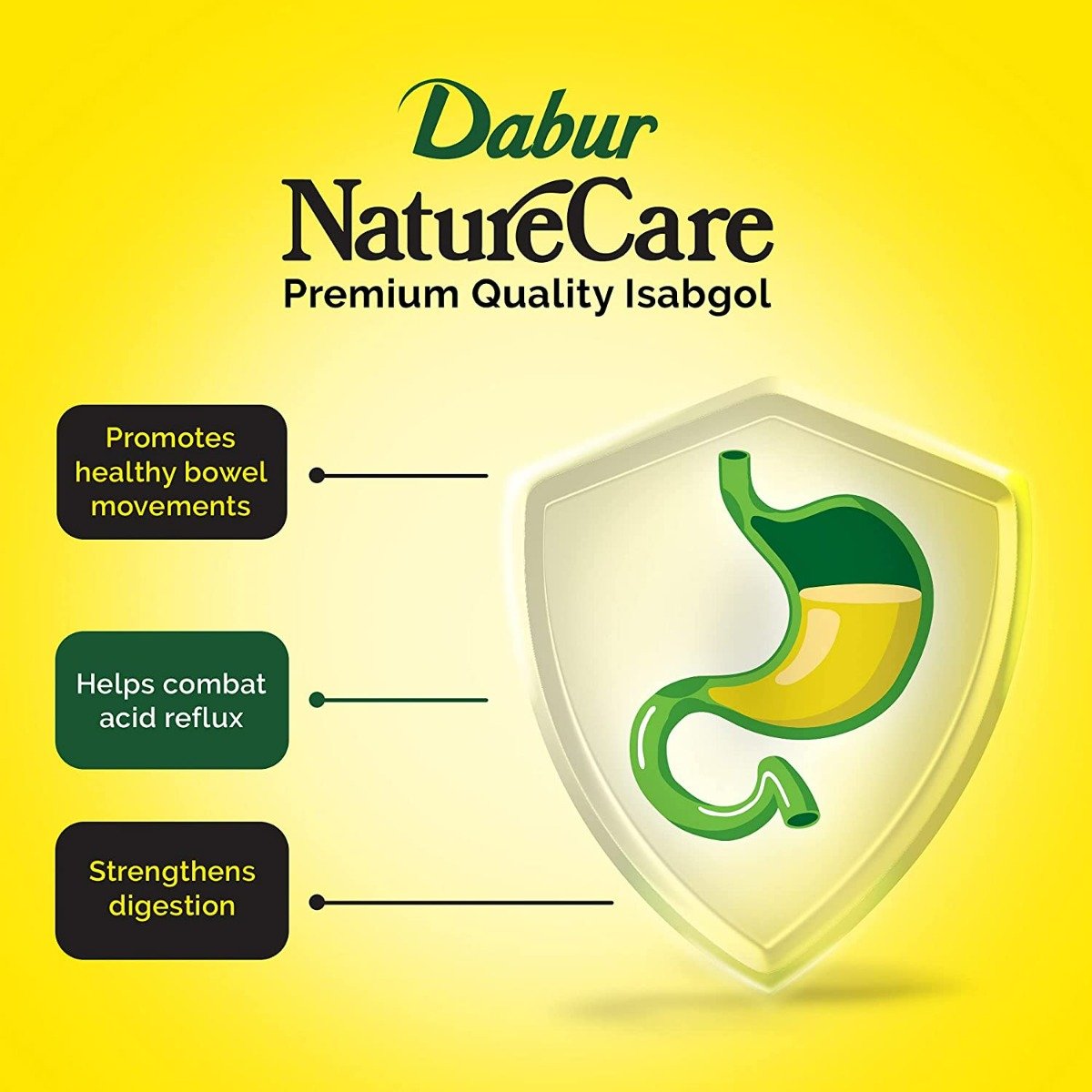 Dabur Nature Care Isabgol, 375 gm, Pack of 1 Dabur Nature Care Isabgol, 375 gm, Pack of 1